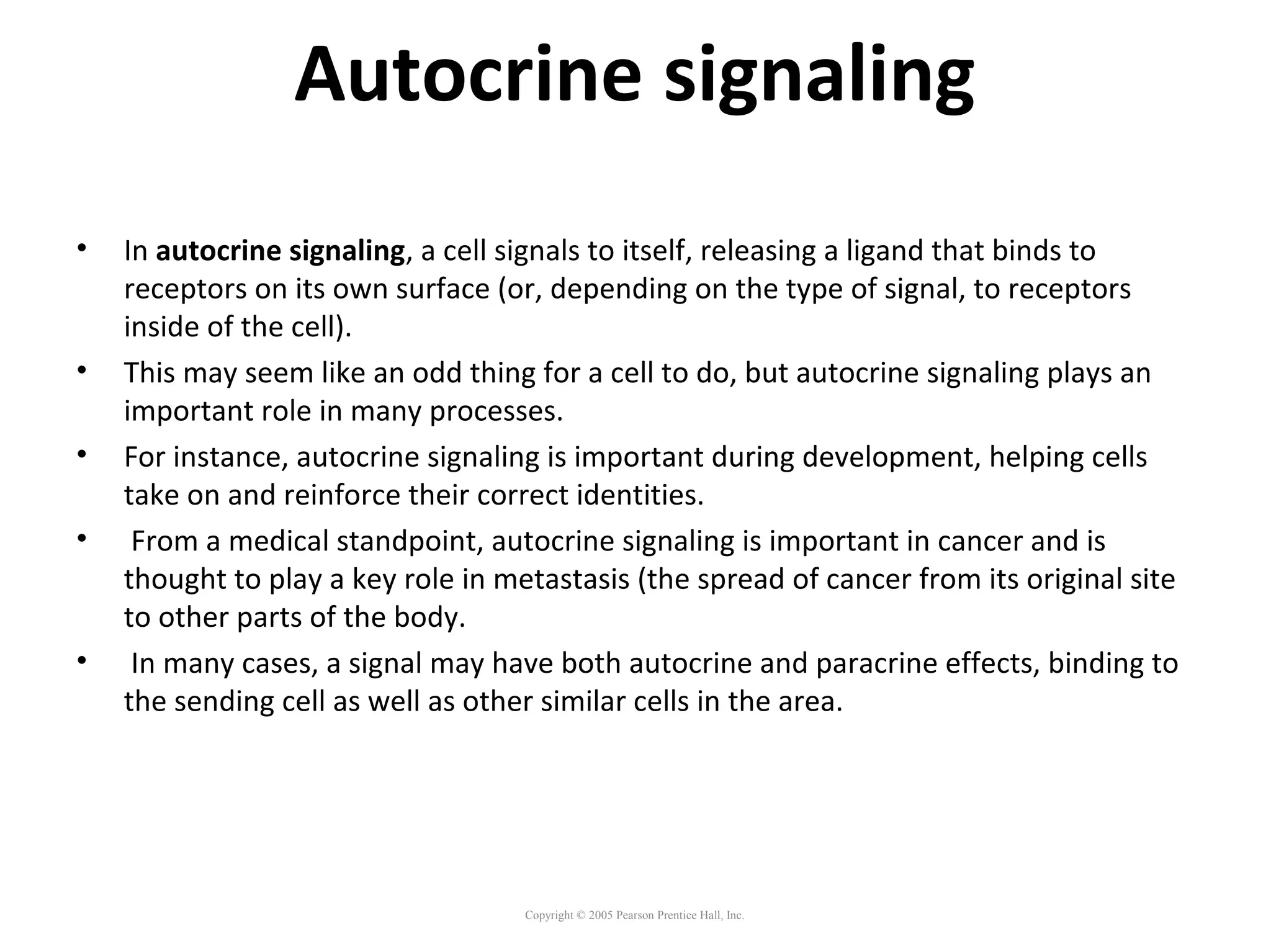 Autocrine signaling
• In autocrine signaling, a cell signals to itself, releasing a ligand that binds to
receptors on its own surface (or, depending on the type of signal, to receptors
inside of the cell).
• This may seem like an odd thing for a cell to do, but autocrine signaling plays an
important role in many processes.
• For instance, autocrine signaling is important during development, helping cells
take on and reinforce their correct identities.
• From a medical standpoint, autocrine signaling is important in cancer and is
thought to play a key role in metastasis (the spread of cancer from its original site
to other parts of the body.
• In many cases, a signal may have both autocrine and paracrine effects, binding to
the sending cell as well as other similar cells in the area.
Copyright © 2005 Pearson Prentice Hall, Inc.
 