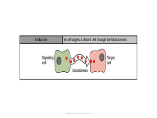 Copyright © 2005 Pearson Prentice Hall, Inc.
 