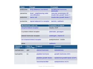Copyright © 2005 Pearson Prentice Hall, Inc.
 