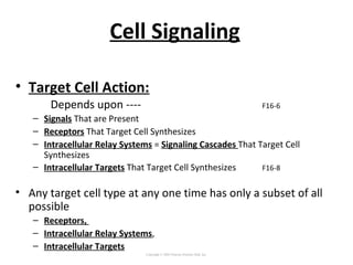 Cell Signaling
• Target Cell Action:
Depends upon ---- F16-6
– Signals That are Present
– Receptors That Target Cell Synthesizes
– Intracellular Relay Systems = Signaling Cascades That Target Cell
Synthesizes
– Intracellular Targets That Target Cell Synthesizes F16-8
• Any target cell type at any one time has only a subset of all
possible
– Receptors,
– Intracellular Relay Systems,
– Intracellular Targets
Copyright © 2005 Pearson Prentice Hall, Inc.
 