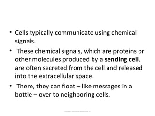 • Cells typically communicate using chemical
signals.
• These chemical signals, which are proteins or
other molecules produced by a sending cell,
are often secreted from the cell and released
into the extracellular space.
• There, they can float – like messages in a
bottle – over to neighboring cells.
Copyright © 2005 Pearson Prentice Hall, Inc.
 