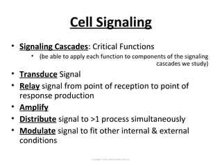Cell Signaling
• Signaling Cascades: Critical Functions
• (be able to apply each function to components of the signaling
cascades we study)
• Transduce Signal
• Relay signal from point of reception to point of
response production
• Amplify
• Distribute signal to >1 process simultaneously
• Modulate signal to fit other internal & external
conditions
Copyright © 2005 Pearson Prentice Hall, Inc.
 