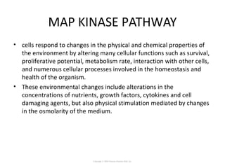 MAP KINASE PATHWAY
• cells respond to changes in the physical and chemical properties of
the environment by altering many cellular functions such as survival,
proliferative potential, metabolism rate, interaction with other cells,
and numerous cellular processes involved in the homeostasis and
health of the organism.
• These environmental changes include alterations in the
concentrations of nutrients, growth factors, cytokines and cell
damaging agents, but also physical stimulation mediated by changes
in the osmolarity of the medium.
Copyright © 2005 Pearson Prentice Hall, Inc.
 
