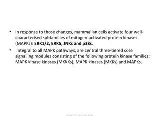 • In response to those changes, mammalian cells activate four well-
characterised subfamilies of mitogen-activated protein kinases
(MAPKs): ERK1/2, ERK5, JNKs and p38s.
• Integral to all MAPK pathways, are central three-tiered core
signalling modules consisting of the following protein kinase families:
MAPK kinase kinases (MKKKs), MAPK kinases (MKKs) and MAPKs.
Copyright © 2005 Pearson Prentice Hall, Inc.
 
