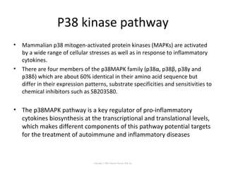 P38 kinase pathway
• Mammalian p38 mitogen-activated protein kinases (MAPKs) are activated
by a wide range of cellular stresses as well as in response to inflammatory
cytokines.
• There are four members of the p38MAPK family (p38α, p38β, p38γ and
p38δ) which are about 60% identical in their amino acid sequence but
differ in their expression patterns, substrate specificities and sensitivities to
chemical inhibitors such as SB203580.
• The p38MAPK pathway is a key regulator of pro-inflammatory
cytokines biosynthesis at the transcriptional and translational levels,
which makes different components of this pathway potential targets
for the treatment of autoimmune and inflammatory diseases
Copyright © 2005 Pearson Prentice Hall, Inc.
 