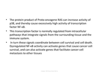 • The protein product of Proto-oncogene RAS can increase activity of
p38, and thereby cause excessively high activity of transcription
factor NF-κB.
• This transcription factor is normally regulated from intracellular
pathways that integrate signals from the surrounding tissue and the
immune system.
• In turn these signals coordinate between cell survival and cell death.
Dysregulated NF-κB activity can activate genes that cause cancer cell
survival, and can also activate genes that facilitate cancer cell
metastasis to other tissues
Copyright © 2005 Pearson Prentice Hall, Inc.
 