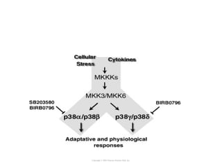 Copyright © 2005 Pearson Prentice Hall, Inc.
 