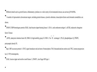 Copyright © 2005 Pearson Prentice Hall, Inc.
•Differentstimulisuchasgrowthfactors,inflammatorycytokinesorawidevarietyofenvironmentalstressescanactivatep38MAPKs.
•Anumberofrepresentativedownstreamtargets,includingproteinkinases,cytosolicsubstrates,transcriptionfactorsandchromatinremodellers,are
shown.
•CHOP,C/EBP-homologousprotein;DLK1,dual-leucine-zipper-bearingkinase1;EEA1,early-endosomeantigen1;eEF2K,eukaryoticelongation
factor2kinase
•;eIF4E,eukaryoticinitiationfactor4E;HMG-14,high-mobilitygroup14;NHE-1,Na
+
/H
+
exchanger1;PLA2,phospholipaseA2;PSD95,
postsynapticdensity95;
•Sap1,SRFaccessoryprotein1;STAT,signaltransducerandactivatoroftranscription;TAO,thousand-and-oneaminoacid;TPL2,tumourprogression
loci2;TTP,tristetraprolin;
•ZAK1,leucinezipperandsterile-αmotifkinase1;ZNHIT1,zincfingerHIT-type1.
•
 