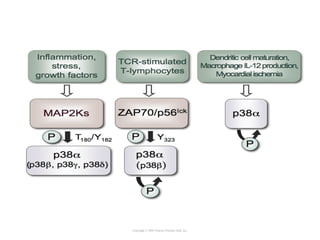 Copyright © 2005 Pearson Prentice Hall, Inc.
 