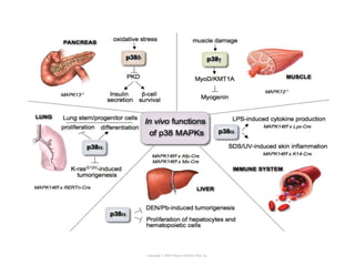 Copyright © 2005 Pearson Prentice Hall, Inc.
 