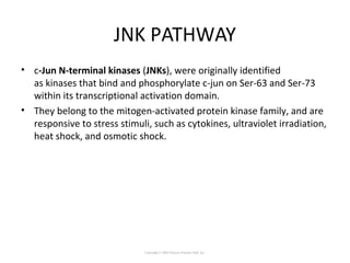 JNK PATHWAY
• c-Jun N-terminal kinases (JNKs), were originally identified
as kinases that bind and phosphorylate c-jun on Ser-63 and Ser-73
within its transcriptional activation domain.
• They belong to the mitogen-activated protein kinase family, and are
responsive to stress stimuli, such as cytokines, ultraviolet irradiation,
heat shock, and osmotic shock.
Copyright © 2005 Pearson Prentice Hall, Inc.
 