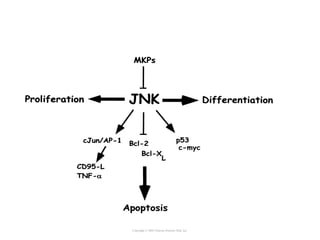 Copyright © 2005 Pearson Prentice Hall, Inc.
 