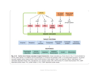 Copyright © 2005 Pearson Prentice Hall, Inc.
 