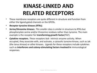 KINASE-LINKED AND
RELATED RECEPTORS
• These membrane receptors are quite different in structure and function from
either the ligand-gated channels or the GPCRs.
• Receptor tyrosine kinases (RTKs).
• Serine/threonine kinases. This smaller class is similar in structure to RTKs but
phosphorylate serine and/or threonine residues rather than tyrosine. The main
example is the receptor for transforming growth factor(TGF).
• Cytokine receptors. These receptors lack intrinsic enzyme activity. When
occupied, they associate with, and activate, a cytosolic tyrosine kinase, such as Jak
(the Janus kinase) or other kinases. Ligands for these receptors include cytokines
such as interferons and colony-stimulating factors involved in immunological
responses.
Copyright © 2005 Pearson Prentice Hall, Inc.
 