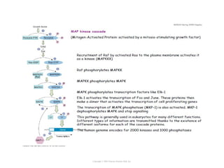 Copyright © 2005 Pearson Prentice Hall, Inc.
 