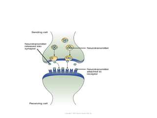 Copyright © 2005 Pearson Prentice Hall, Inc.
 