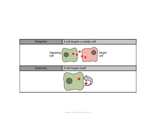 Copyright © 2005 Pearson Prentice Hall, Inc.
 