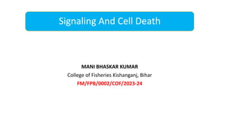 Signaling And Cell Death
MANI BHASKAR KUMAR
College of Fisheries Kishanganj, Bihar
FM/FPB/0002/COF/2023-24
 