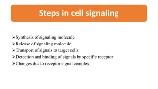 Cell Signaling And Cell Death | PPT