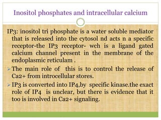 Inositol phosphates and intracellular calcium
IP3: inositol tri phosphate is a water soluble mediator
that is released into the cytosol nd acts n a specific
receptor-the IP3 receptor- wch is a ligand gated
calcium channel present in the membrane of the
endoplasmic reticulam .
The main role of this is to control the release of
Ca2+ from introcellular stores.
IP3 is converted into IP4,by specific kinase.the exact
role of IP4 is unclear, but there is evidence that it
too is involved in Ca2+ signaling.
 