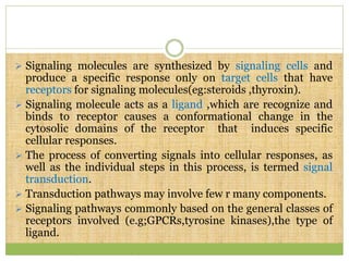 Signaling molecules are synthesized by signaling cells and
produce a specific response only on target cells that have
receptors for signaling molecules(eg:steroids ,thyroxin).
 Signaling molecule acts as a ligand ,which are recognize and
binds to receptor causes a conformational change in the
cytosolic domains of the receptor that induces specific
cellular responses.
 The process of converting signals into cellular responses, as
well as the individual steps in this process, is termed signal
transduction.
 Transduction pathways may involve few r many components.
 Signaling pathways commonly based on the general classes of
receptors involved (e.g;GPCRs,tyrosine kinases),the type of
ligand.
 