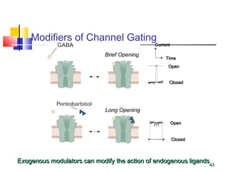 Modifiers of Channel Gating
                                              Current


                                                   Time
                                                    Open


                                                    Closed




                                                        Open


                                                        Closed



Exogenous modulators can modify the action of endogenous ligands
                                                                43
 