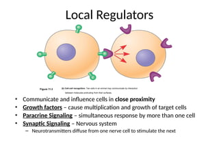 Molecular Conversations: Principles of Cell Signaling and Transduction ...