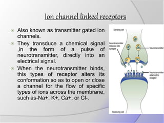Ion channel linked receptors
 Also known as transmitter gated ion
channels.
 They transduce a chemical signal
,in the form of a pulse of
neurotransmitter, directly into an
electrical signal.
 When the neurotransmitter binds,
this types of receptor alters its
conformation so as to open or close
a channel for the flow of specific
types of ions across the membrane,
such as-Na+, K+, Ca+, or Cl-.
 