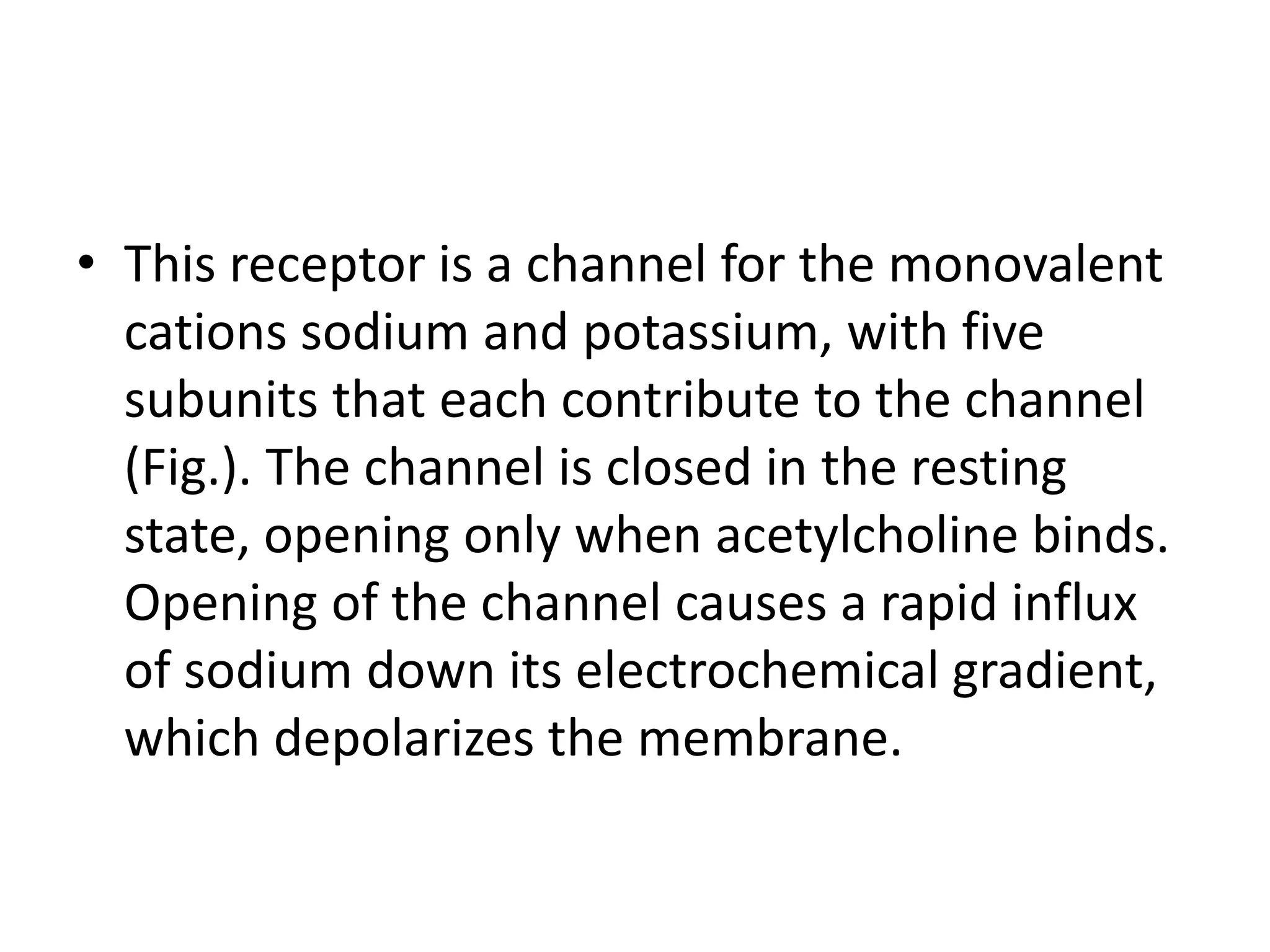• This receptor is a channel for the monovalent
cations sodium and potassium, with five
subunits that each contribute to the channel
(Fig.). The channel is closed in the resting
state, opening only when acetylcholine binds.
Opening of the channel causes a rapid influx
of sodium down its electrochemical gradient,
which depolarizes the membrane.
 