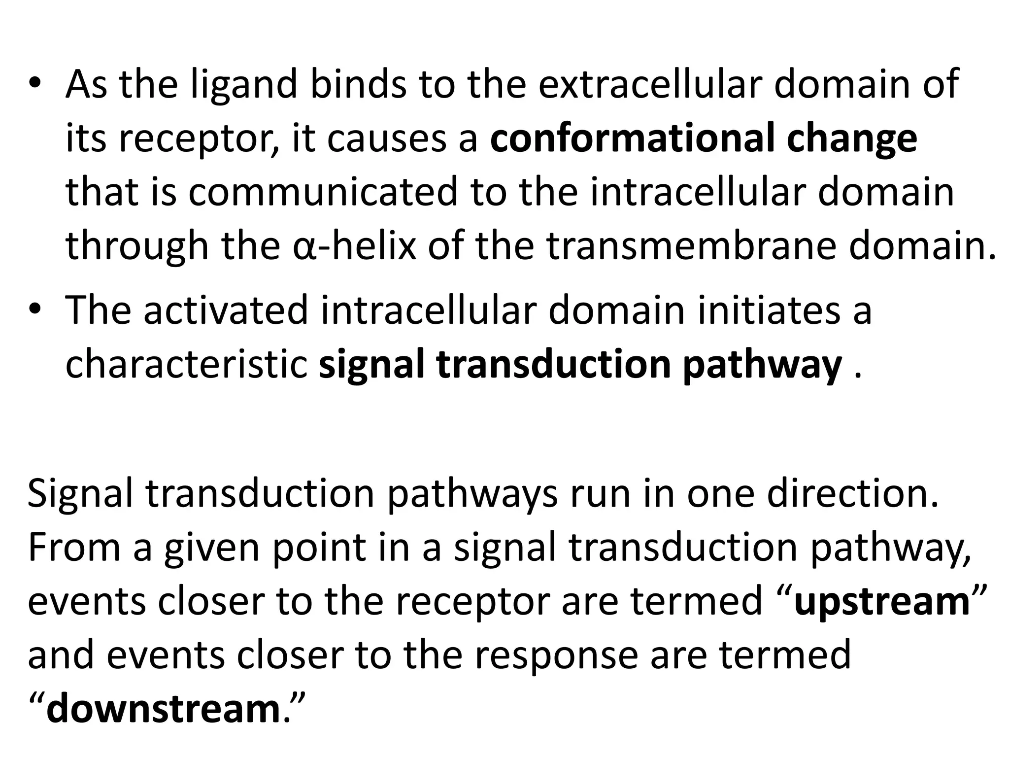 • As the ligand binds to the extracellular domain of
its receptor, it causes a conformational change
that is communicated to the intracellular domain
through the α-helix of the transmembrane domain.
• The activated intracellular domain initiates a
characteristic signal transduction pathway .
Signal transduction pathways run in one direction.
From a given point in a signal transduction pathway,
events closer to the receptor are termed “upstream”
and events closer to the response are termed
“downstream.”
 