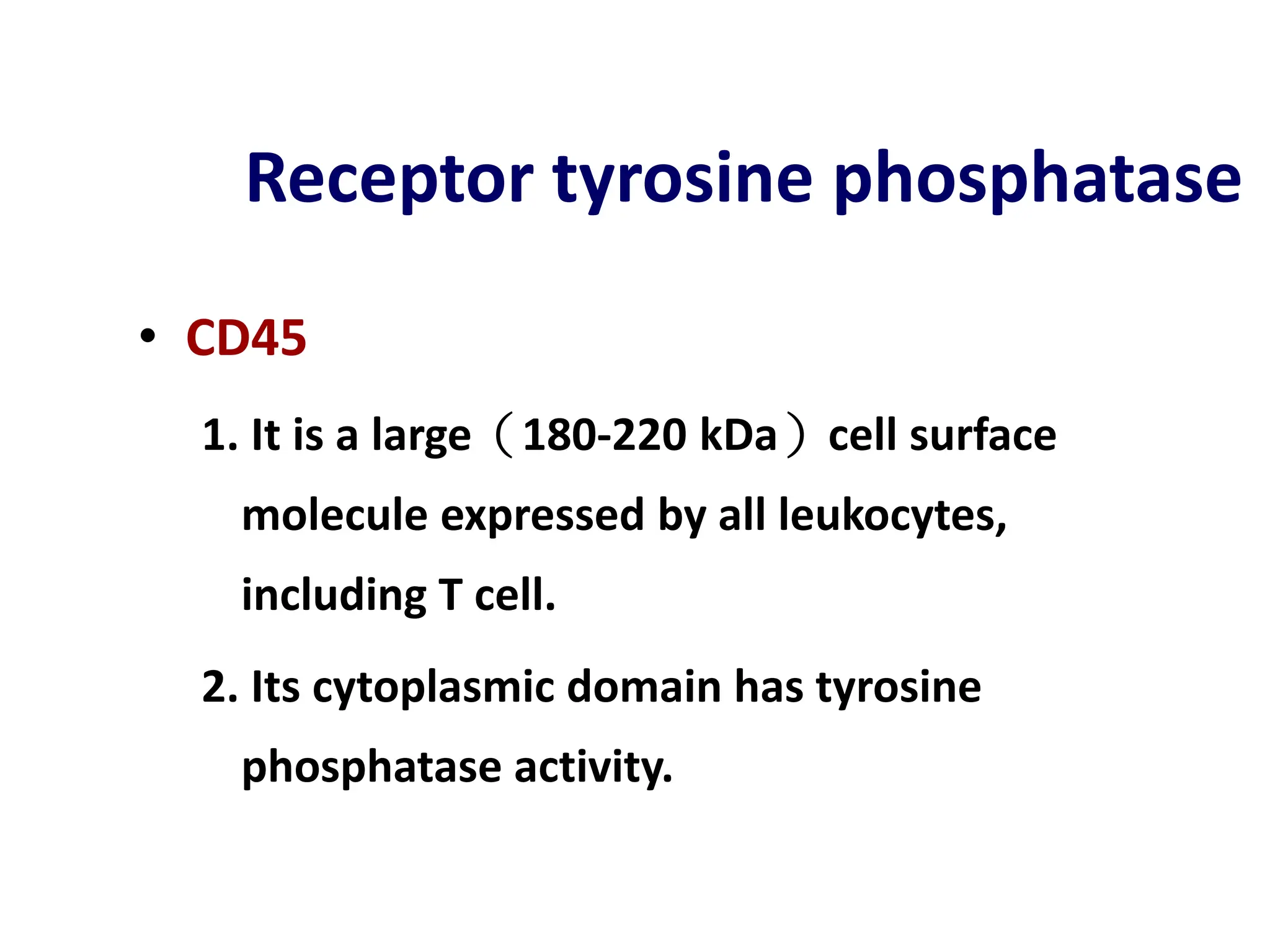 Receptor tyrosine phosphatase
• CD45
1. It is a large（180-220 kDa）cell surface
molecule expressed by all leukocytes,
including T cell.
2. Its cytoplasmic domain has tyrosine
phosphatase activity.
 