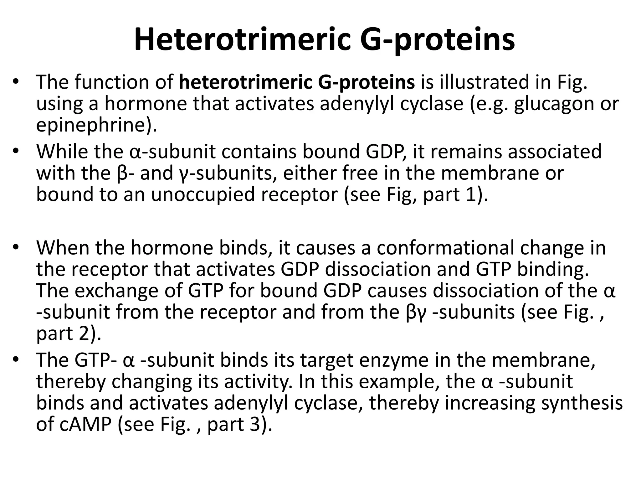 Heterotrimeric G-proteins
• The function of heterotrimeric G-proteins is illustrated in Fig.
using a hormone that activates adenylyl cyclase (e.g. glucagon or
epinephrine).
• While the α-subunit contains bound GDP, it remains associated
with the β- and γ-subunits, either free in the membrane or
bound to an unoccupied receptor (see Fig, part 1).
• When the hormone binds, it causes a conformational change in
the receptor that activates GDP dissociation and GTP binding.
The exchange of GTP for bound GDP causes dissociation of the α
-subunit from the receptor and from the βγ -subunits (see Fig. ,
part 2).
• The GTP- α -subunit binds its target enzyme in the membrane,
thereby changing its activity. In this example, the α -subunit
binds and activates adenylyl cyclase, thereby increasing synthesis
of cAMP (see Fig. , part 3).
 