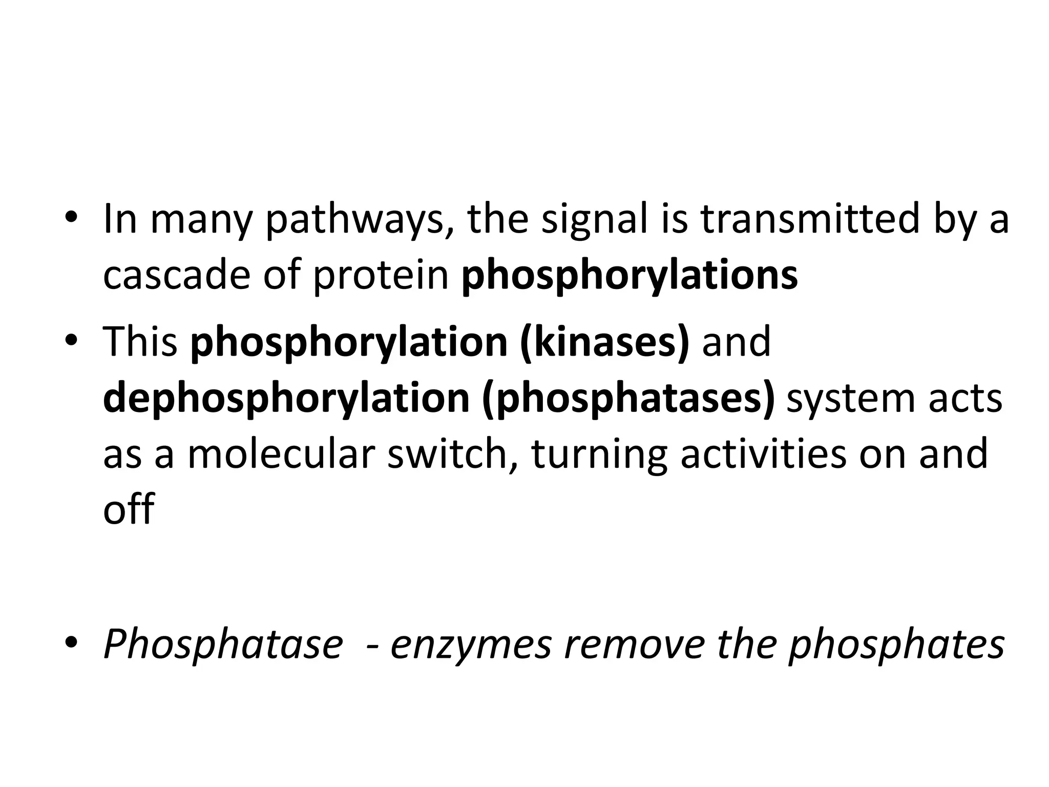 • In many pathways, the signal is transmitted by a
cascade of protein phosphorylations
• This phosphorylation (kinases) and
dephosphorylation (phosphatases) system acts
as a molecular switch, turning activities on and
off
• Phosphatase - enzymes remove the phosphates
 