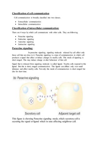 Cell signaling pathways | DOCX