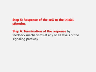 cell signaling Presentation varrious pathways of cell signaling ...