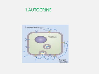 cell signaling Presentation varrious pathways of cell signaling ...