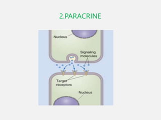 cell signaling Presentation varrious pathways of cell signaling ...