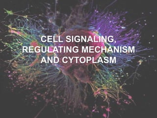 CELL SIGNALING,
REGULATING MECHANISM
AND CYTOPLASM
 