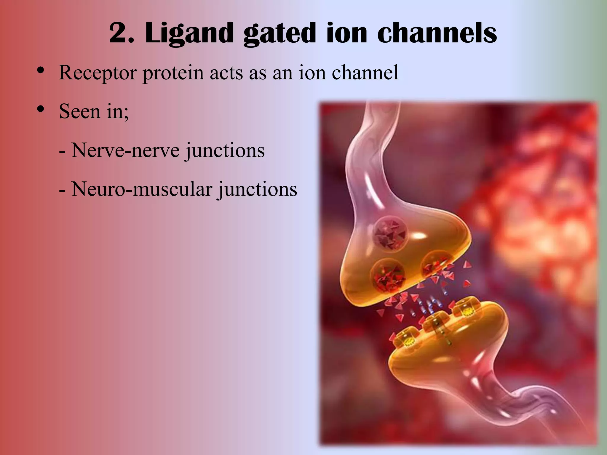 2. Ligand gated ion channels
• Receptor protein acts as an ion channel
• Seen in;
- Nerve-nerve junctions
- Neuro-muscular junctions
 