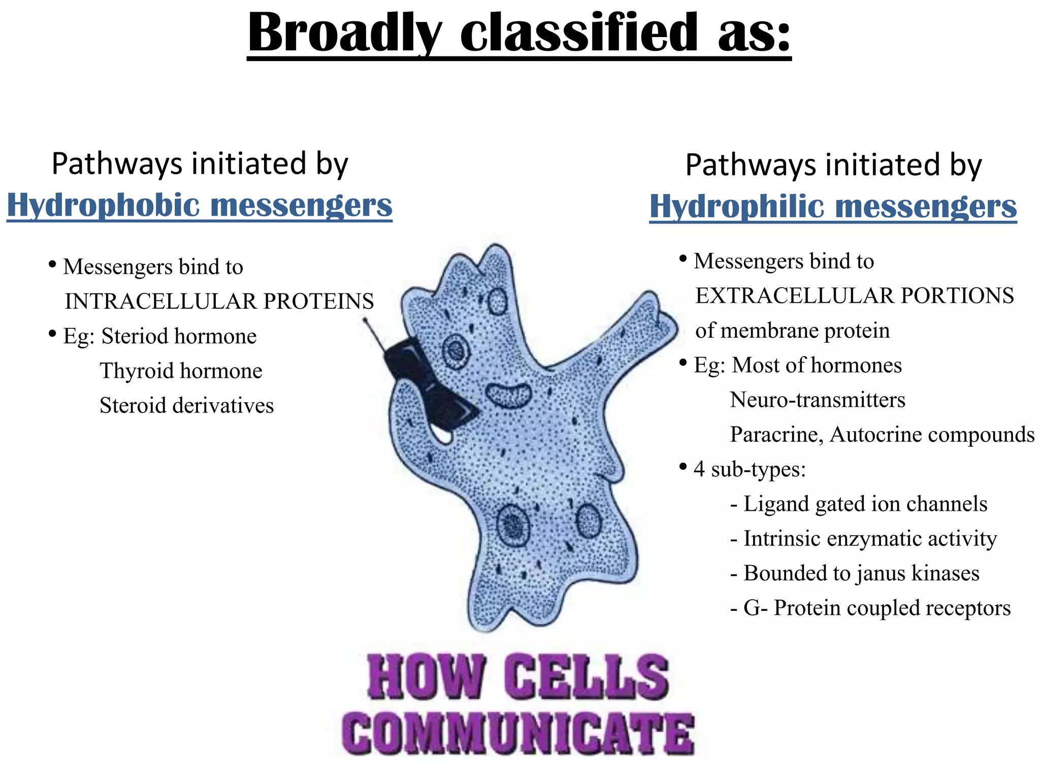 Broadly classified as:
Pathways initiated by
Hydrophobic messengers
Pathways initiated by
Hydrophilic messengers
• Messengers bind to
INTRACELLULAR PROTEINS
• Eg: Steriod hormone
Thyroid hormone
Steroid derivatives
• Messengers bind to
EXTRACELLULAR PORTIONS
of membrane protein
• Eg: Most of hormones
Neuro-transmitters
Paracrine, Autocrine compounds
• 4 sub-types:
- Ligand gated ion channels
- Intrinsic enzymatic activity
- Bounded to janus kinases
- G- Protein coupled receptors
 