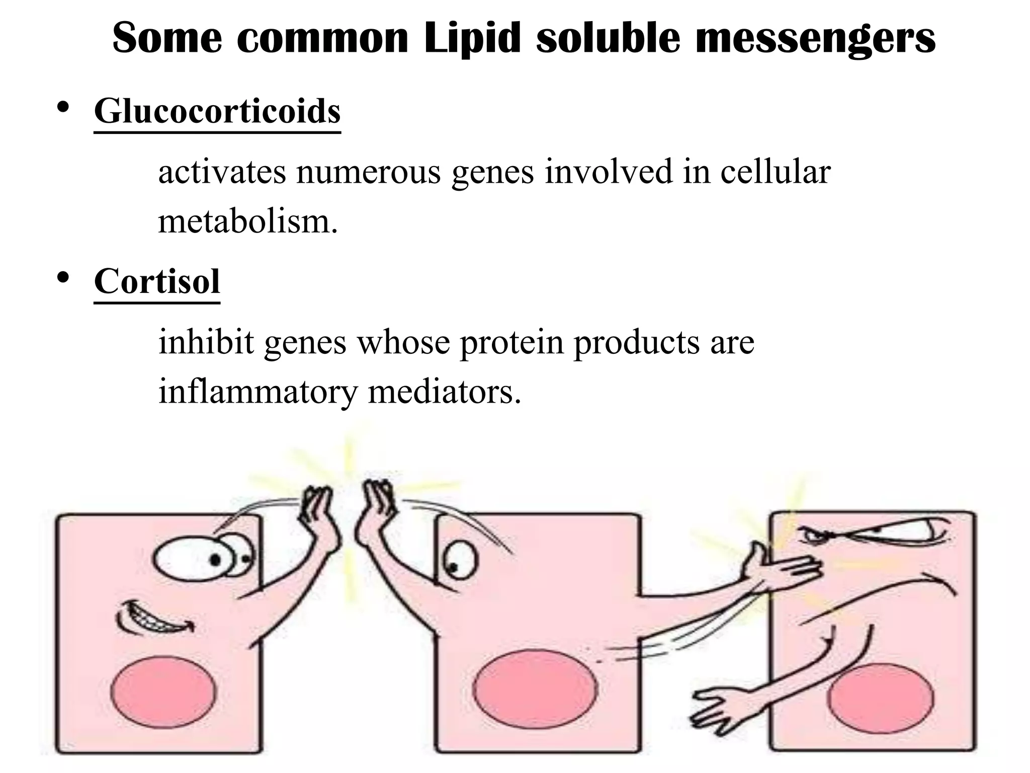 Some common Lipid soluble messengers
• Glucocorticoids
activates numerous genes involved in cellular
metabolism.
• Cortisol
inhibit genes whose protein products are
inflammatory mediators.
 