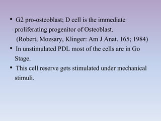 • G2 pro-osteoblast; D cell is the immediate
proliferating progenitor of Osteoblast.
(Robert, Mozsary, Klinger: Am J Anat. 165; 1984)
• In unstimulated PDL most of the cells are in Go
Stage.
• This cell reserve gets stimulated under mechanical
stimuli.
 