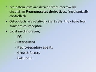 • Pro-osteoclasts are derived from marrow by
circulating Promonocytes derivatives. (mechanically
controlled)
• Osteoclasts are relatively inert cells, they have few
biochemical receptor.
• Local mediators are;
- PG
- Interleukins
- Neuro-secretory agents
- Growth factors
- Calcitonin
 