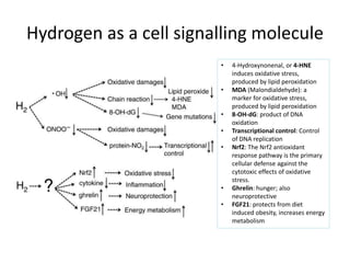 Hydrogen as a cell signalling molecule 
• 4-Hydroxynonenal, or 4-HNE 
induces oxidative stress, 
produced by lipid peroxidation 
• MDA (Malondialdehyde): a 
marker for oxidative stress, 
produced by lipid peroxidation 
• 8-OH-dG: product of DNA 
oxidation 
• Transcriptional control: Control 
of DNA replication 
• Nrf2: The Nrf2 antioxidant 
response pathway is the primary 
cellular defense against the 
cytotoxic effects of oxidative 
stress. 
• Ghrelin: hunger; also 
neuroprotective 
• FGF21: protects from diet 
induced obesity, increases energy 
metabolism 
 