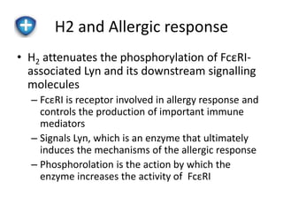 H2 and Allergic response 
• H2 attenuates the phosphorylation of FcεRI-associated 
Lyn and its downstream signalling 
molecules 
– FcεRI is receptor involved in allergy response and 
controls the production of important immune 
mediators 
– Signals Lyn, which is an enzyme that ultimately 
induces the mechanisms of the allergic response 
– Phosphorolation is the action by which the 
enzyme increases the activity of FcεRI 
 