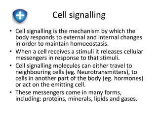 Cell signalling 
• Cell signalling is the mechanism by which the 
body responds to external and internal changes 
in order to maintain homoeostasis. 
• When a cell receives a stimuli it releases cellular 
messengers in response to that stimuli. 
• Cell signalling molecules can either travel to 
neighbouring cells (eg. Neurotransmitters), to 
cells in another part of the body (eg. hormones) 
or act on the emitting cell. 
• These messengers come in many forms, 
including: proteins, minerals, lipids and gases. 
 