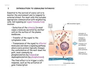 Cell signalling - | PDF