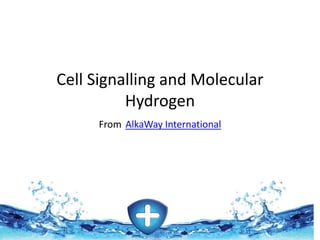 Cell Signalling and Molecular
Hydrogen
From AlkaWay International
 