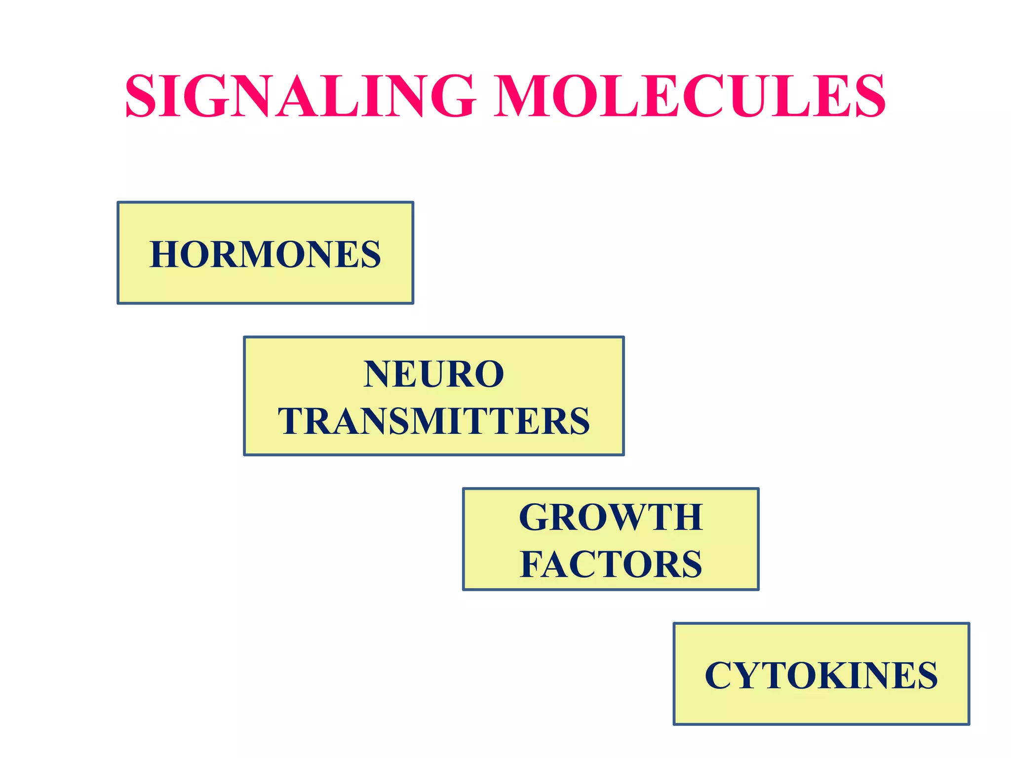 SIGNALING MOLECULES
HORMONES
NEURO
TRANSMITTERS
GROWTH
FACTORS
CYTOKINES
 