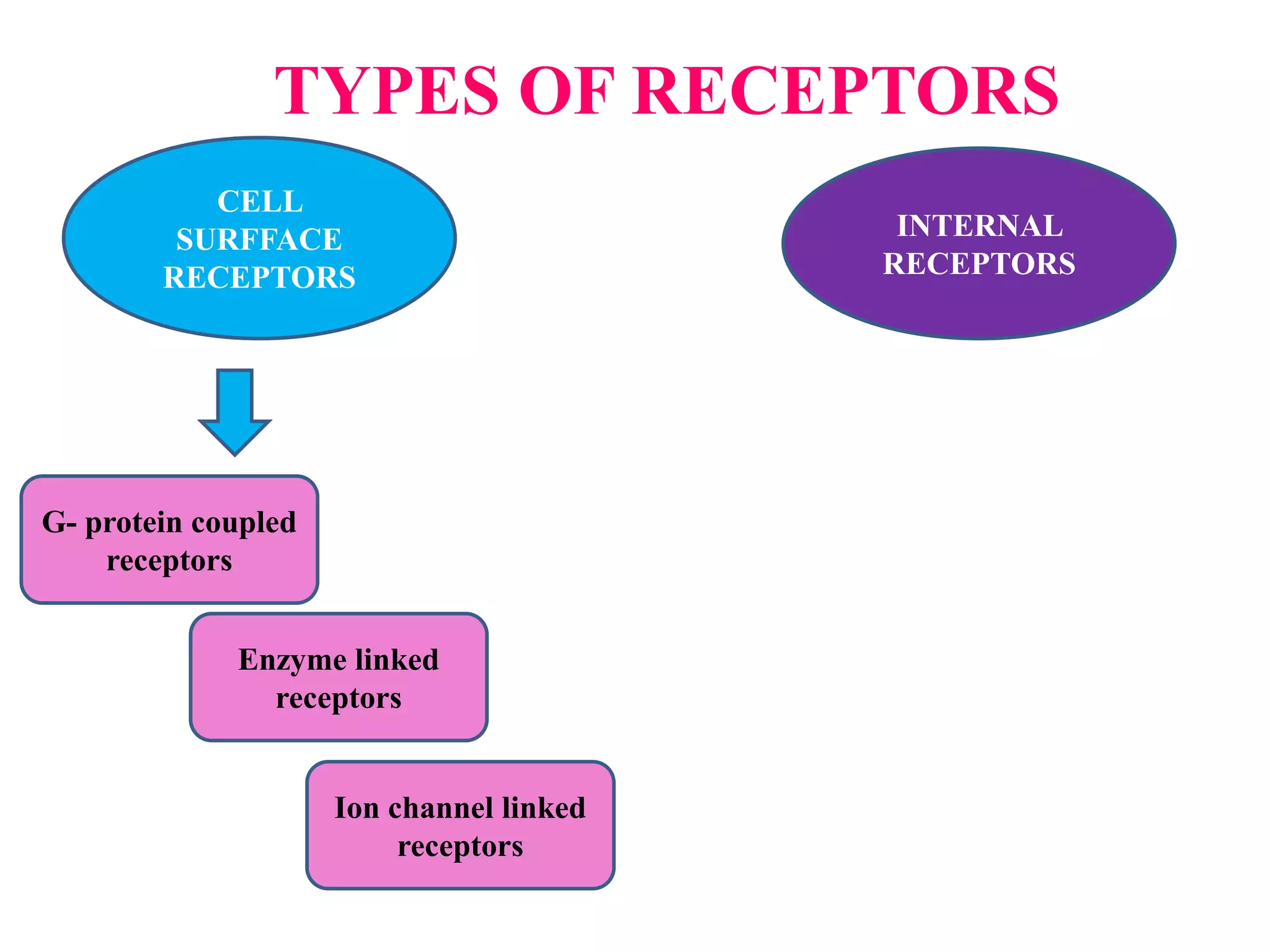 TYPES OF RECEPTORS
CELL
SURFFACE
RECEPTORS
INTERNAL
RECEPTORS
G- protein coupled
receptors
Enzyme linked
receptors
Ion channel linked
receptors
 
